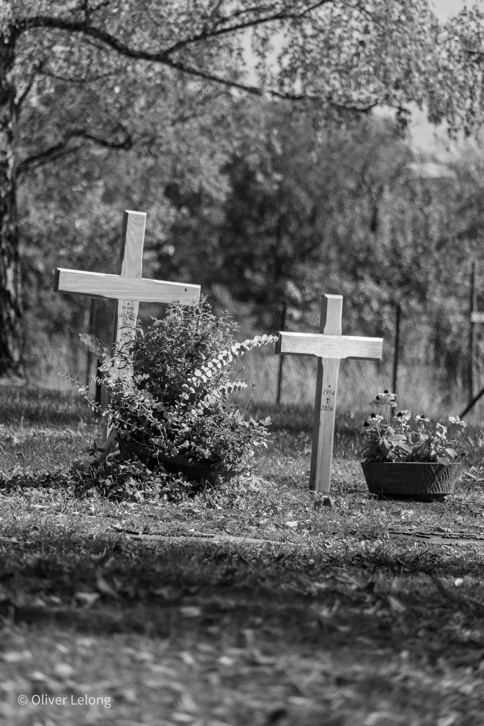 Friedhof in Schwarzweiß